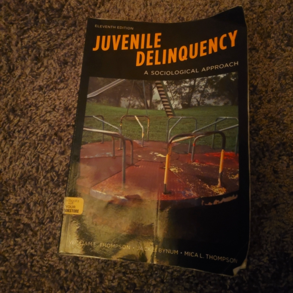 Juvenile Delinquency A Sociological Approach
